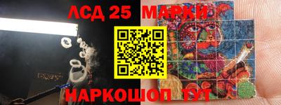 спайс Берёзовский