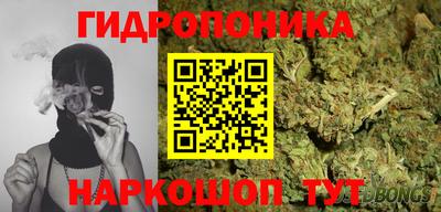 спайс Берёзовский